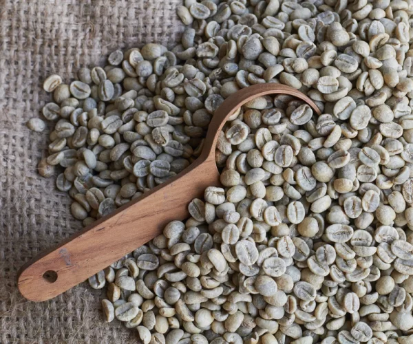 Sidama coffee