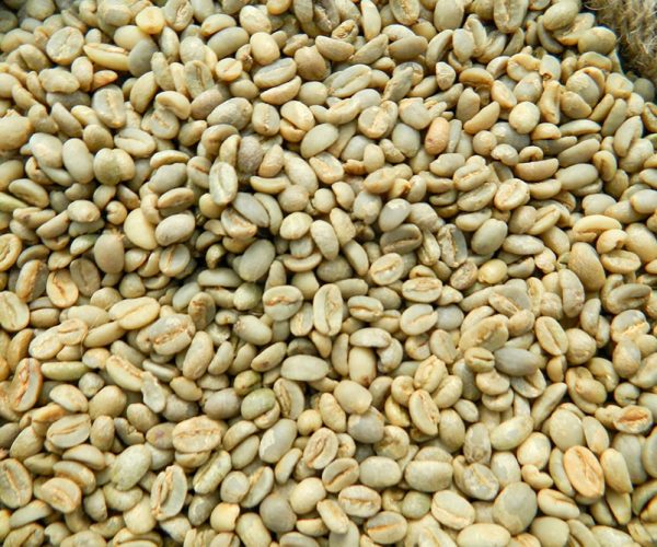 harrar-coffee-beans-in-a-bag