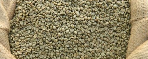 jimma green-coffe