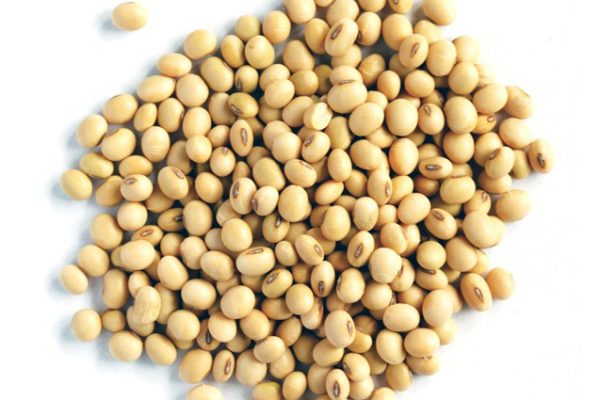 soya beans